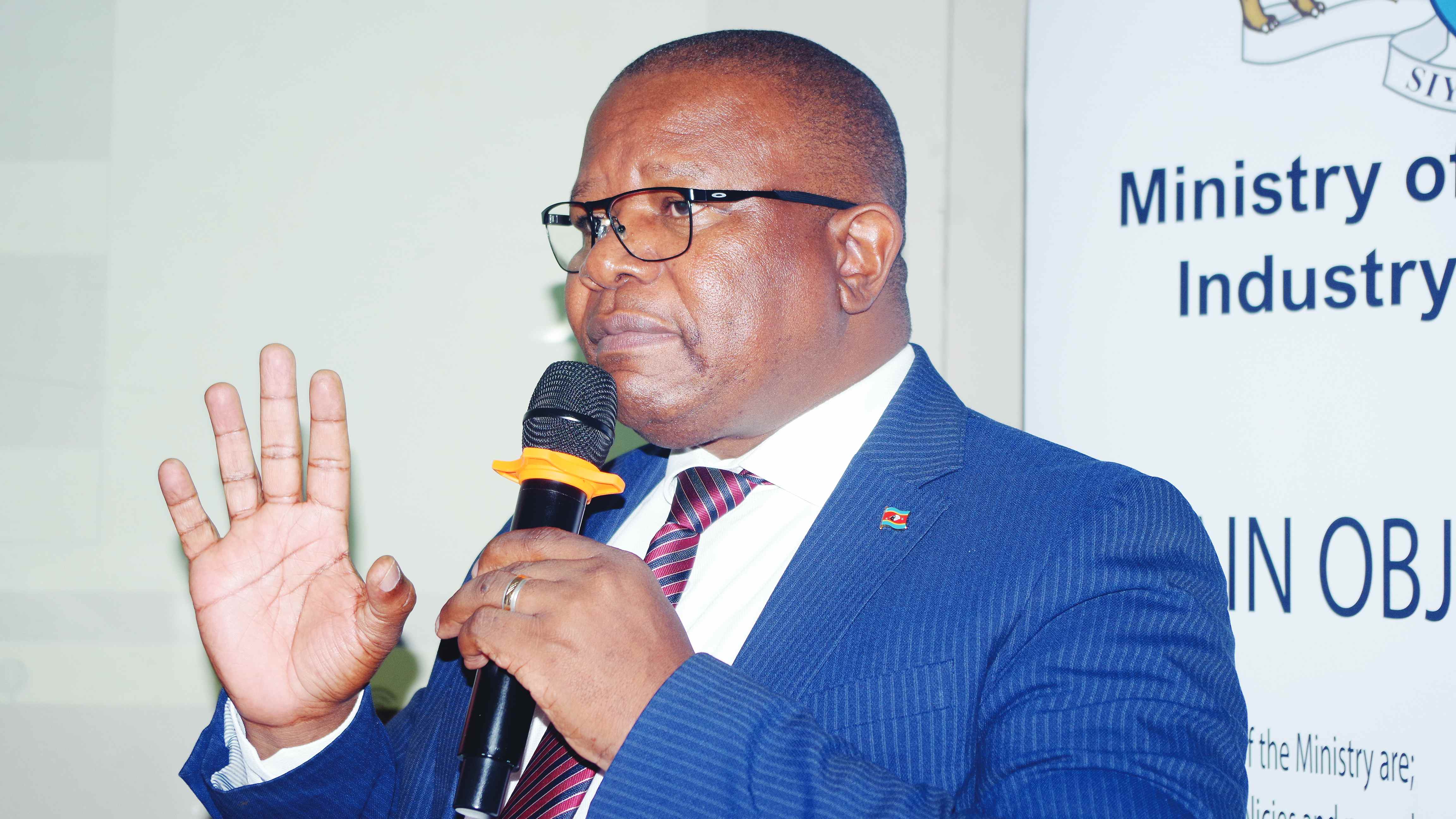 Eswatini eyes Japan as lifeline for struggling coal sector